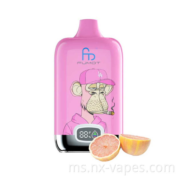 RandM Digital Box 12000 4